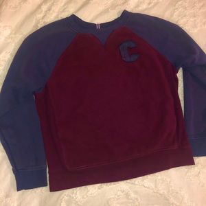 Champion sweater